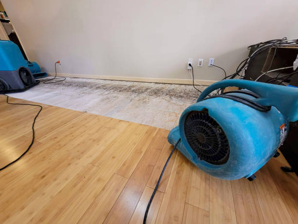 Professional Water Removal technician working in Millinocket, ME